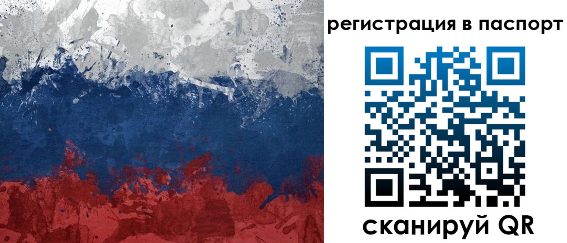 прописка гарантия в Шали